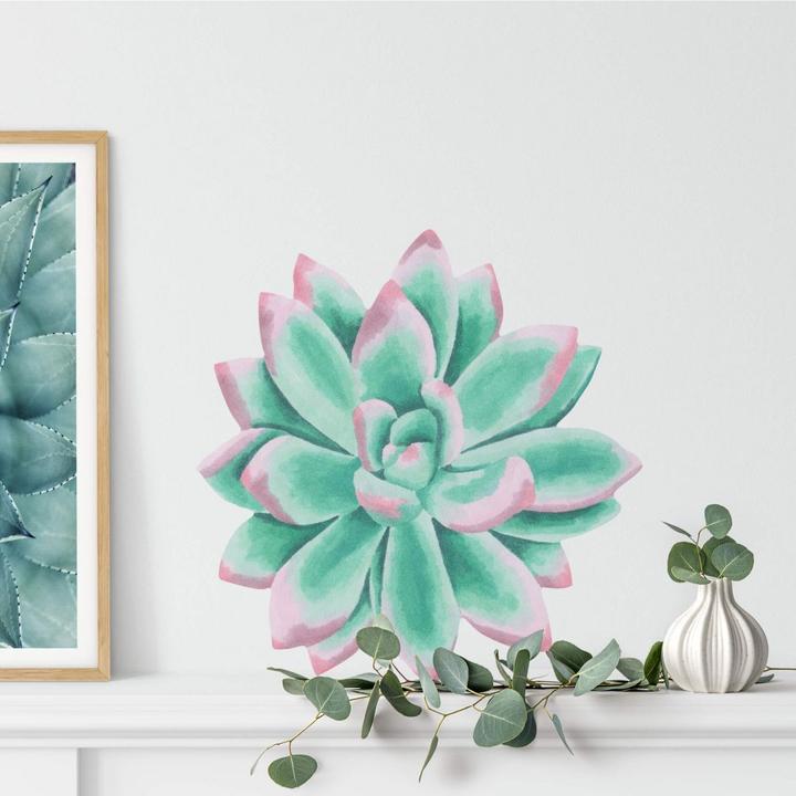 Produktbild Trenddeko Sukkulente Echeveria Spitzen Watercolor (80 x 78 cm)
