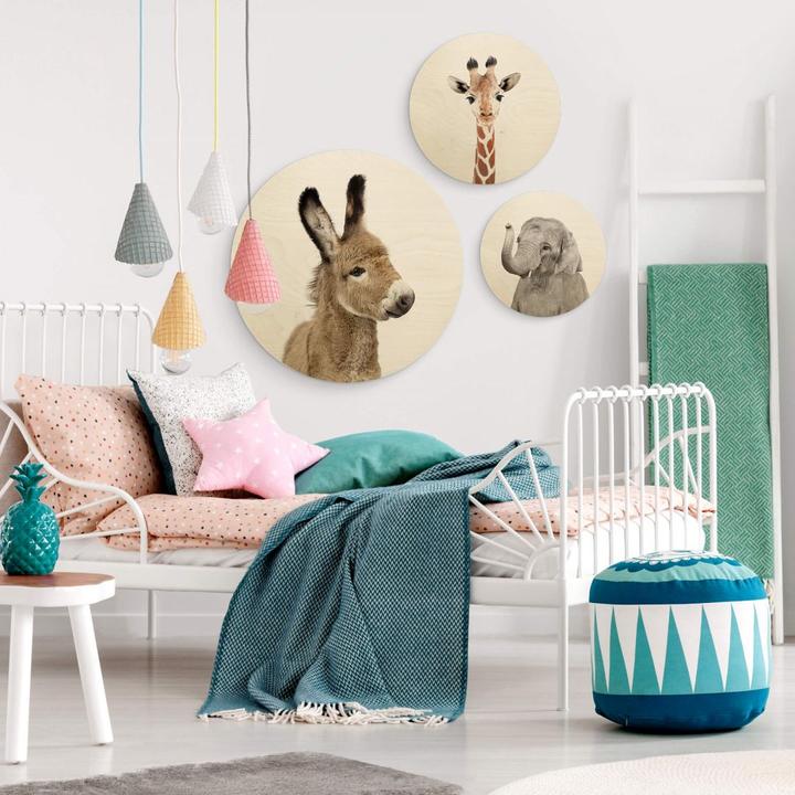 Produktbild Trenddeko Baby Esel (Ø 30 cm)