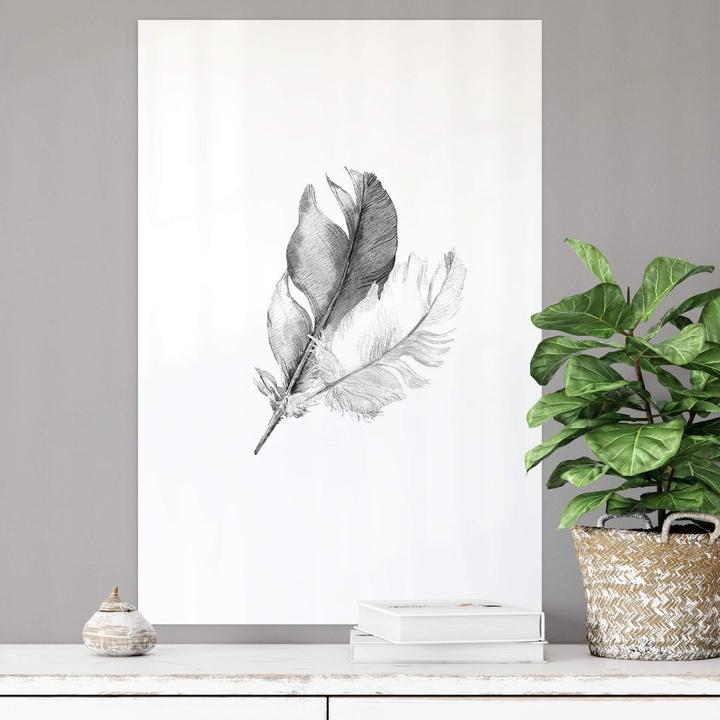 Produktbild Trenddeko Federn (70 x 100 cm)