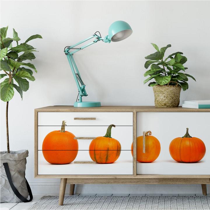 Produktbild Trenddeko Kürbissorten (120 x 50 cm)
