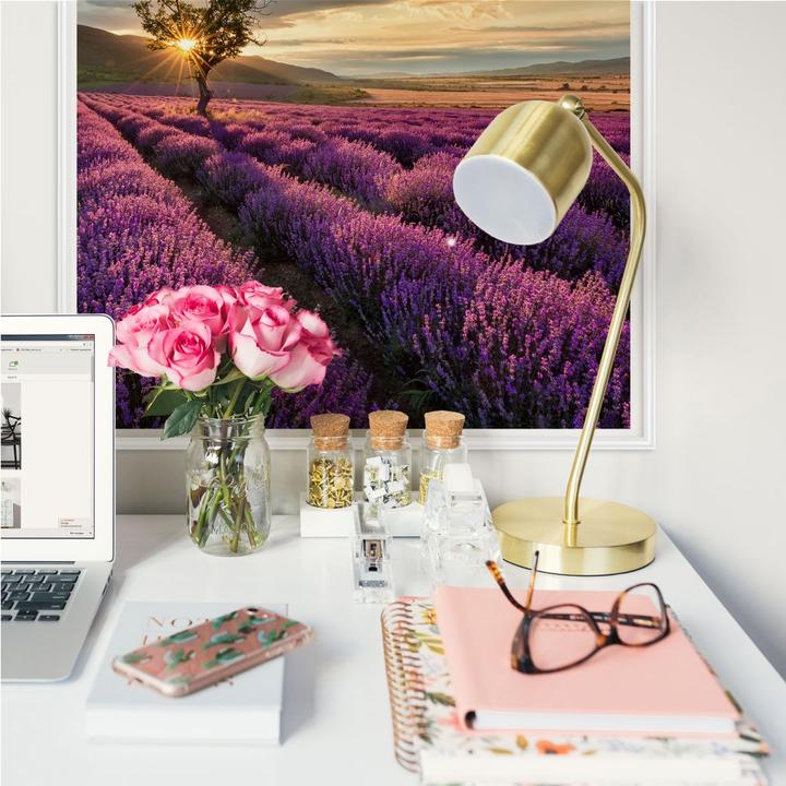 Produktbild Trenddeko Lavendelblüte in der Provence (50 x 50 cm)