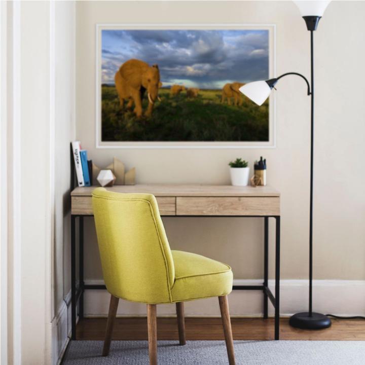 Immagine prodotto National Geographic NG Branco di elefanti (60 x 40 cm)