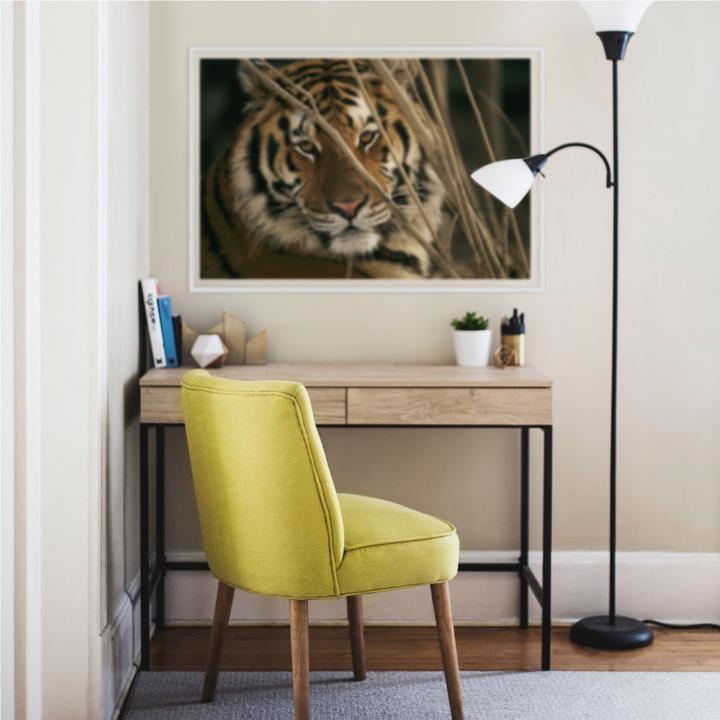 Produktbild National Geographic NG Tiger (100 x 66 cm)