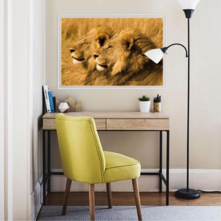 Image du produit National Geographic NG Couple de lions (60 x 40 cm)