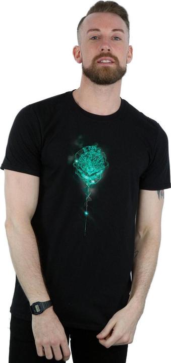 Immagine prodotto Hogwarts Crest Mist Maglietta Uomo (XL)