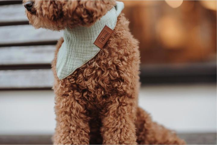Produktbild Hunter Dreieckstuch Nola (L, Hund, Hundesport)