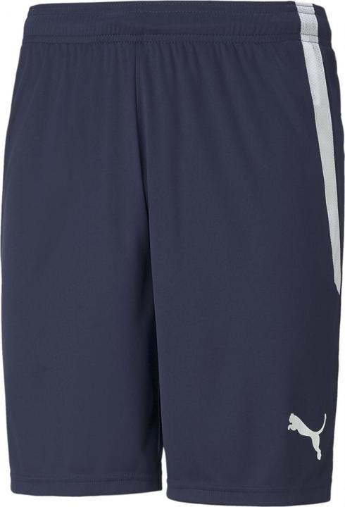 Image du produit Puma teamLIGA Short (XS)