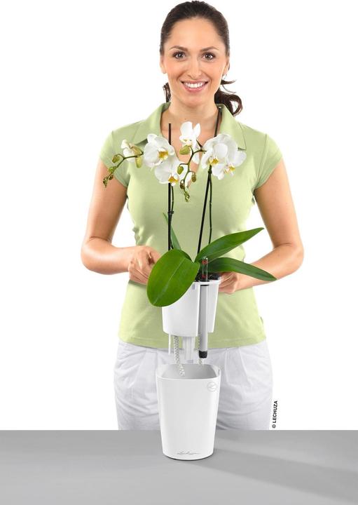 Produktbild Lechuza Mini Deltini (10 cm)