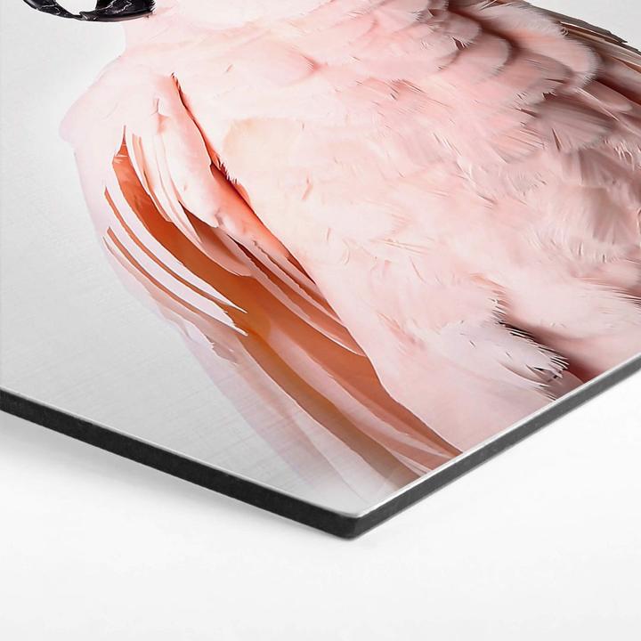 Produktbild Trenddeko Rosa Kakadu (75 x 65 cm)