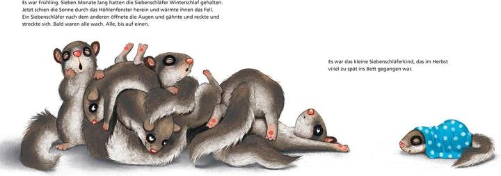 Actual product image Der kleine Siebenschläfer (German, Sabine Bohlmann, Kerstin Schoene, 2019)