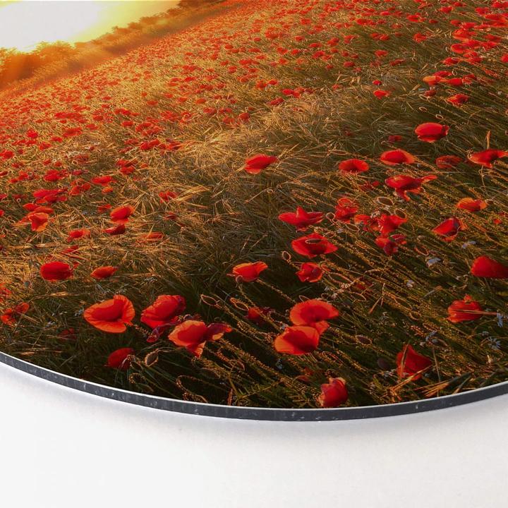 Image du produit Trenddeko Champ de coquelicots au coucher du soleil (Ø 45 cm)