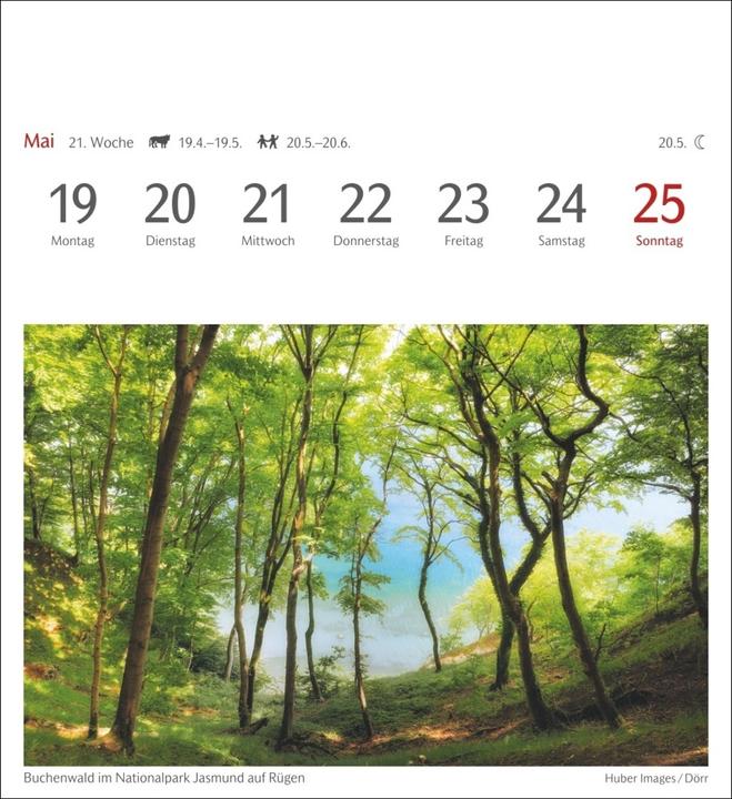 Produktbild Harenberg Oasen der Stille Postkartenkalender 2025 - Wochenkalender mit 53 Postkarten (Harter Einband, Deutsch)