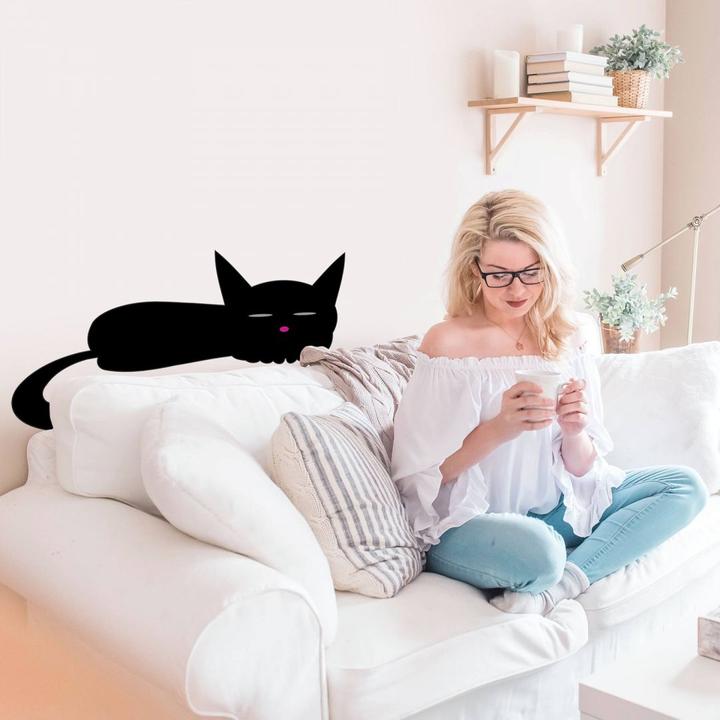 Immagine prodotto Trenddeko Gatto nero che dorme (100 x 47 cm)