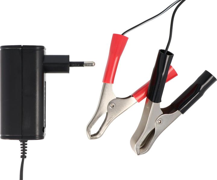 Actual product image AccuCell Charger for 2V, 6V and 12V lead-acid, lead-gel and lead-fleece batteries (0.40 A)