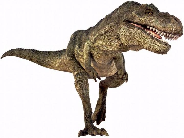Image du produit Brainstorm Musée d'histoire naturelle - Torche et projecteur de dinosaures (Anglais, Français, Italien, Allemand)