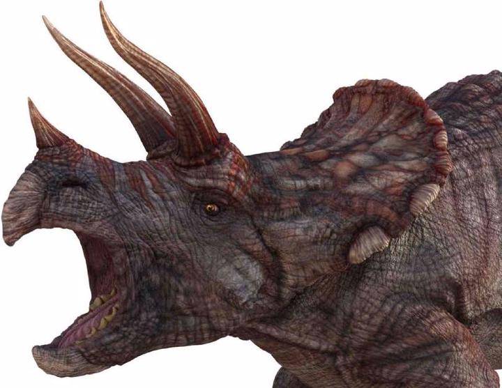 Image du produit Brainstorm Musée d'histoire naturelle - Torche et projecteur de dinosaures (Anglais, Français, Italien, Allemand)
