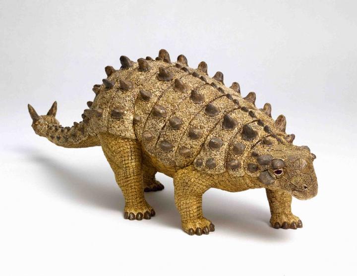 Image du produit Brainstorm Musée d'histoire naturelle - Torche et projecteur de dinosaures (Anglais, Français, Italien, Allemand)