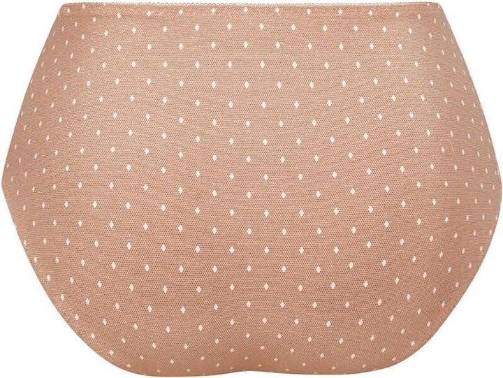 Actual product image Anita 's high-waisted briefs belvedere (46)