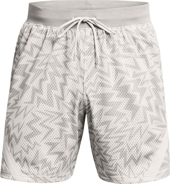 Under Armour Curry Mesh Short 2