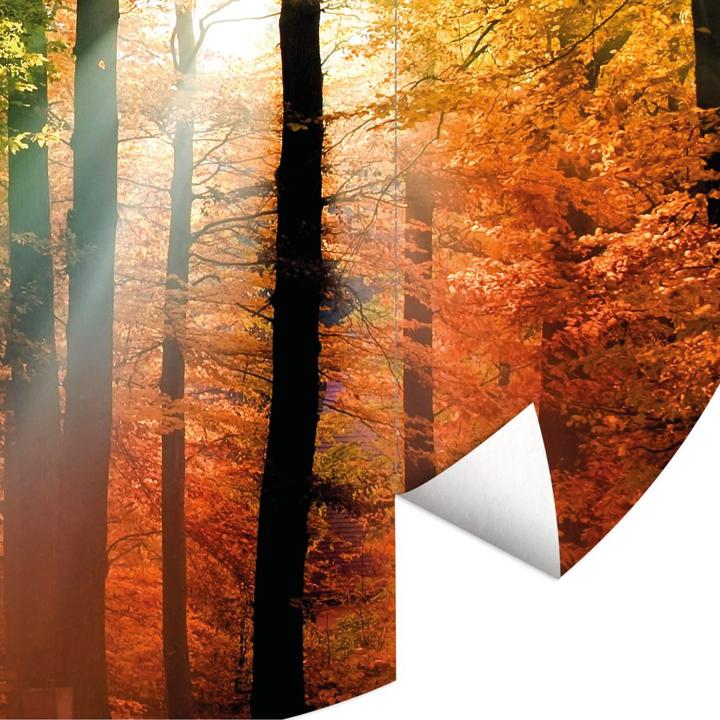 Image du produit Trenddeko Forêt d'automne dorée (Ø 140 cm)