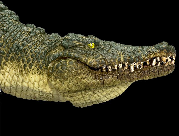 Actual product image Mojo Crocodile with bewgl. jaws