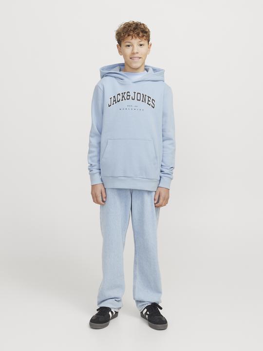 Produktbild Jack & Jones Jjecaleb Varsity Sweat Hood Noos Jnr (164)