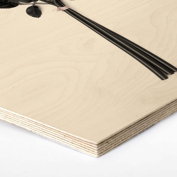 Immagine prodotto Trenddeko Rose selvatiche (55 x 47 cm)