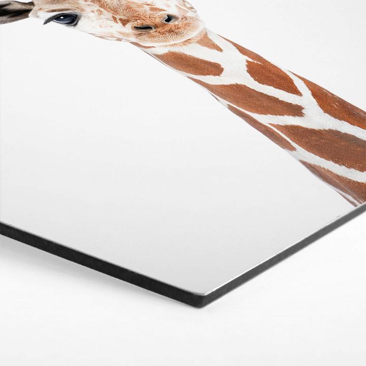 Image du produit Trenddeko Bébé girafe (35 x 30 cm)