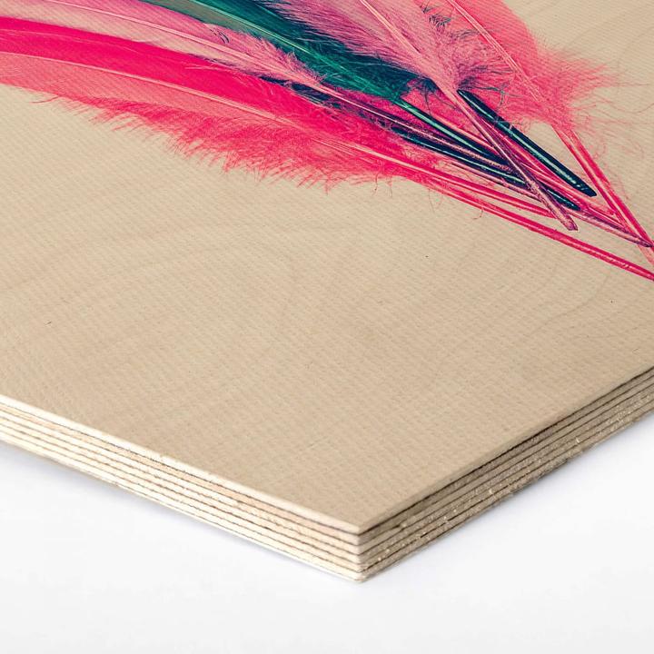 Immagine prodotto Trenddeko Bouquet di piume (55 x 47 cm)