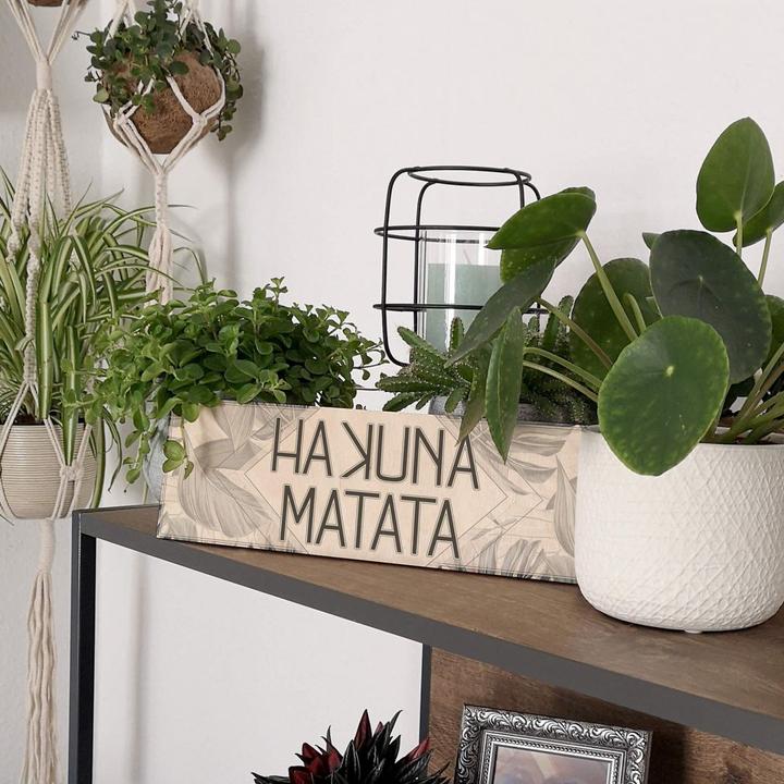 Image du produit Trenddeko Hakuna Matata (30 x 10 cm)