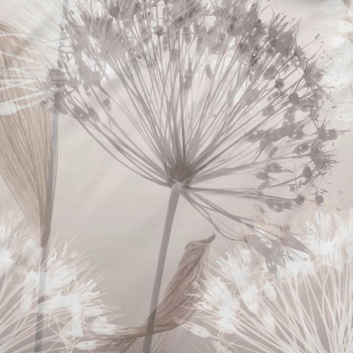 Image du produit Biberna Linge de lit (Housse de couette, 155 x 220 cm, 80 x 80 cm)