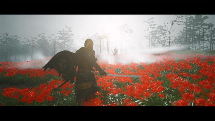 Image du produit Sony Ghost of Tsushima - Directors Cut (PS5, DE)