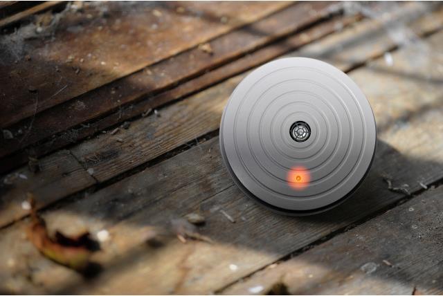 Image du produit Colibri Peur des souris d'intérieur
