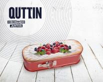 Actual product image Quttin oven mold closing 31x12x6.7cm cher