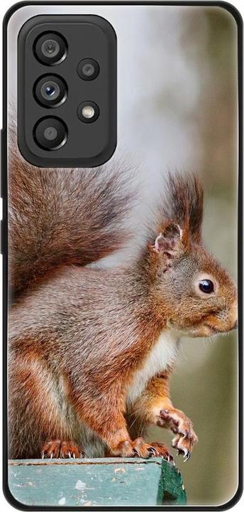 Eichhörnchen