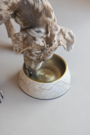 Actual product image Designed by Lotte Dog bowl Meis (0.70 l)