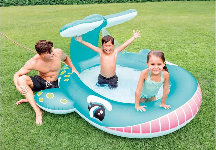 Image du produit Intex Baleine