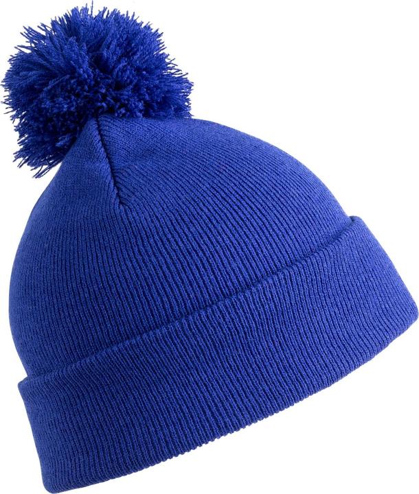 Bleu roi