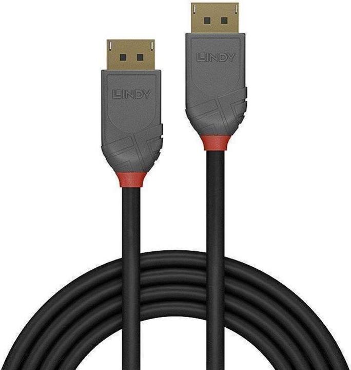 Actual product image Lindy DisplayPort — DisplayPort (2 m, DisplayPort)
