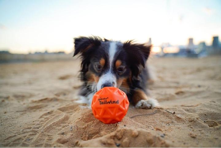 Produktbild Waboba Pets Tailwind - Hundeserie (Ballspielzeug Hund)