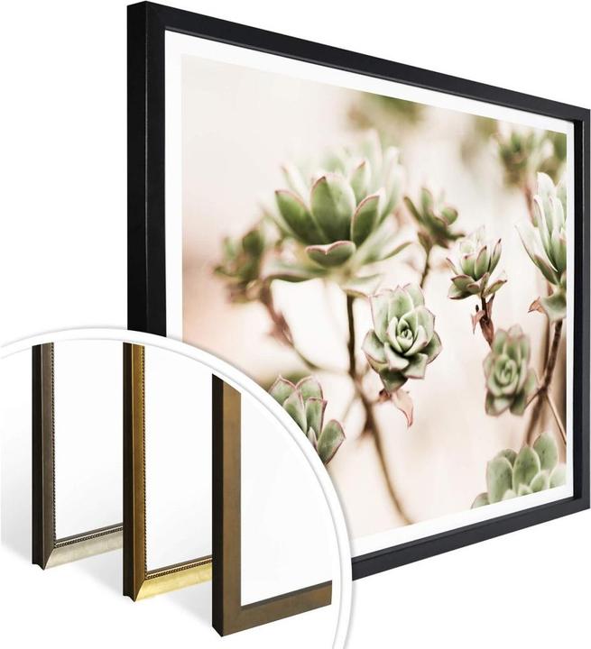 Actual product image Trenddeko Small succulents (40 x 30 cm)