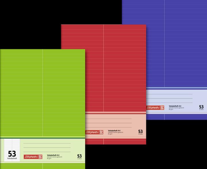 Actual product image Vocabulary book green, red or blue ruled 53 lined DIN A4 without margin, 32 sheets (A4, Lined, No binding)