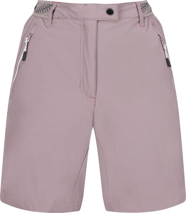 Actual product image Regatta Womens/Ladies Mountain II Shorts (44 D)