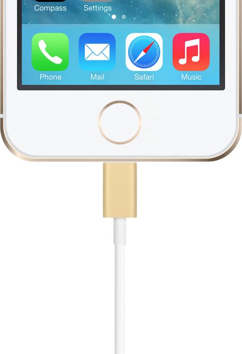 Image du produit 4smarts Câble Lightning (1 m, USB 2.0)