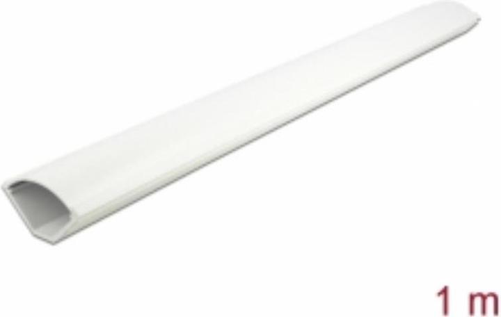 Image du produit Delock Canal d'angle 56 x 32 mm (Conduit, 100 cm)