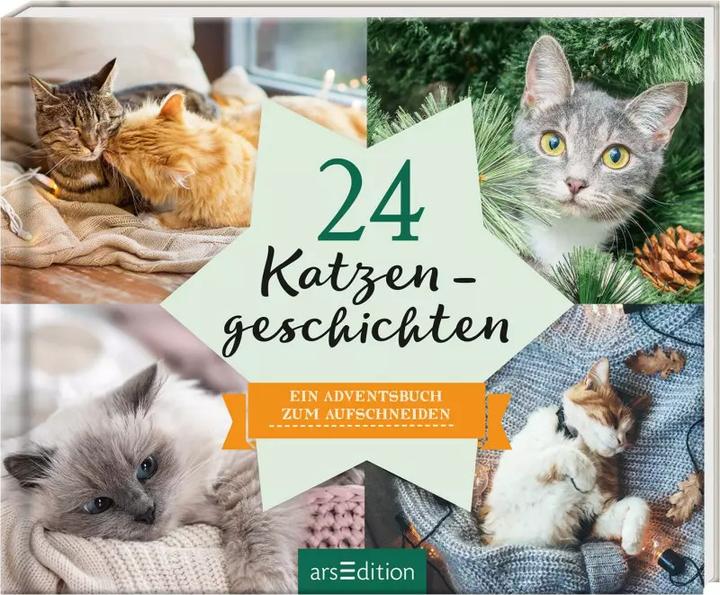 Actual product image Cat Stories