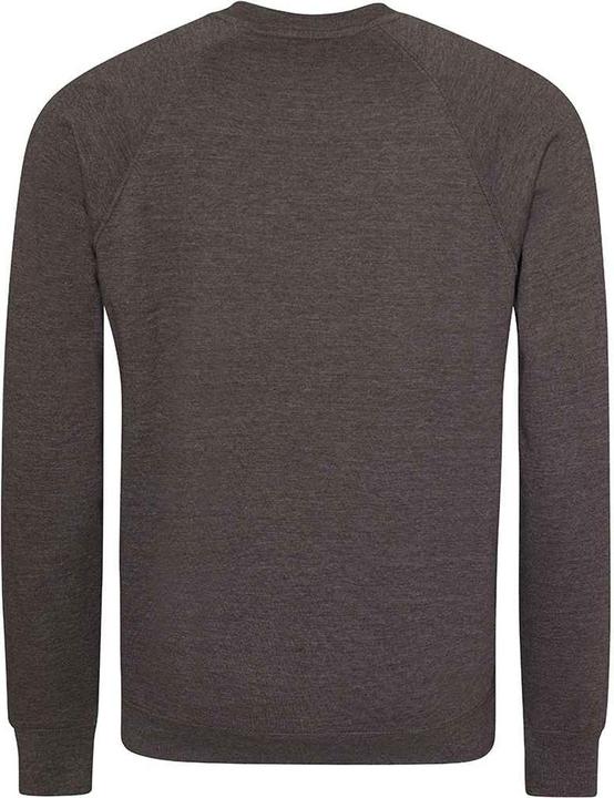 Actual product image Awdis Childrens/Kids Academy Raglan Sweatshirt (XXL)