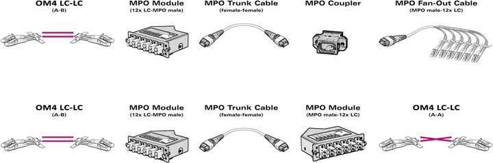 Immagine prodotto Value Cavo MPO Fanout OM4 MPO/12xLC 2m (CAT6, 2 m)
