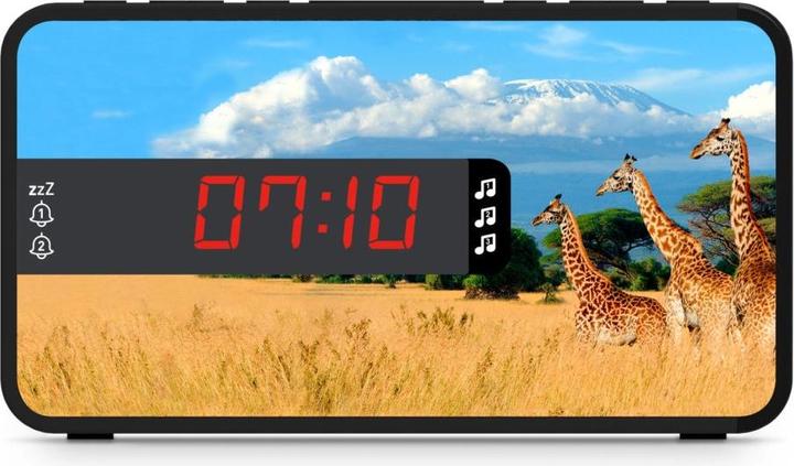 Produktbild Bigben Safari