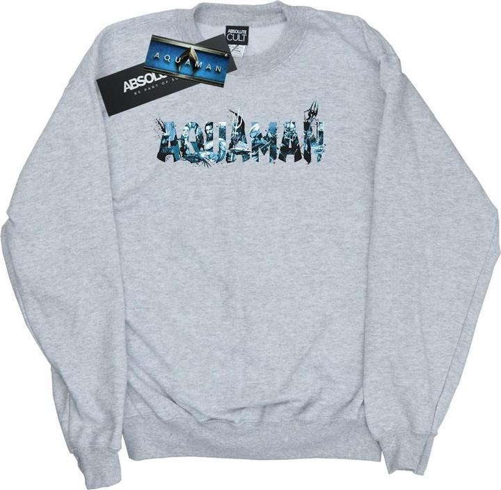Produktbild Aquaman Text Logo Sweatshirt (L)